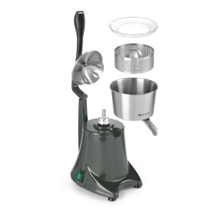 ELECTRIC JUICER