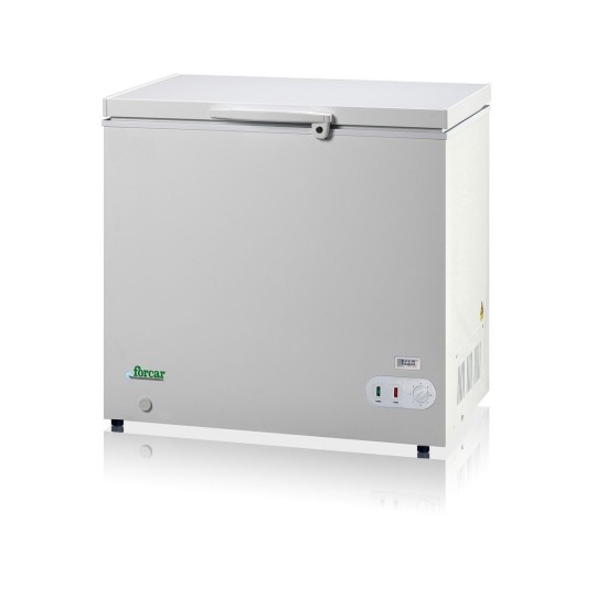 Congelatore a pozzetto Forcar 252 litri Modello G-BD305