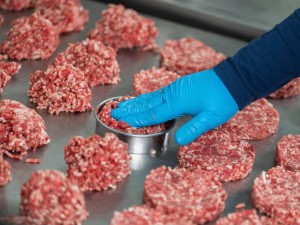 Professional Meat Grinder: When It Is Necessary and When It Is Not