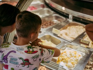 Perché una vaschetta per gelato in acciaio inox è migliore delle altre