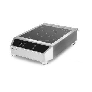 INDUCTION PLATE MOD. 3500