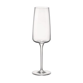 CALICE PLANEO FLUTE 24 CL
