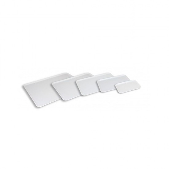 LOW EDGE TRAY 20X15X1,2 CM - professionale